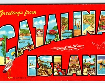 Greetings From Catalina Island California Large Letter Postcard Curt Teich Unique Gift