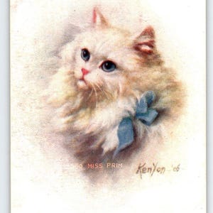 Carte postale Miss Prim Kitten Cat, White Fluffy with Blue Ribbon Signée Kenyon 1906