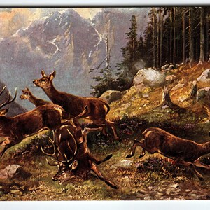 Vintage Muller Signed Artist Card of Deer in Mountain Landscape