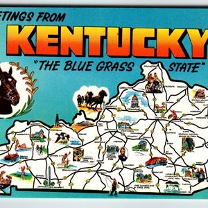 Carte postale du Kentucky, carte chromée, course de chevaux de l'État de Blue Grass