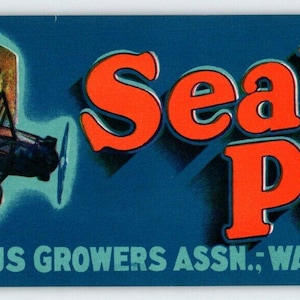 Seald-Pep Airplane Waverly Citrus Fruit Crate Label Plane Original 1940s Vintage