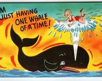 Vintage Linen Comic Postcard Whale and Swimmer Saying 1950s Divided Back