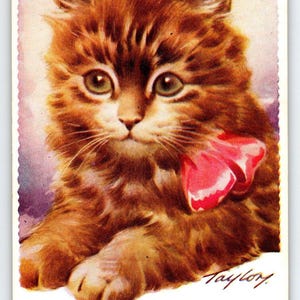 Carte postale ancienne avec chaton et chat orange duveteux avec ruban rouge signée Taylor Bamforth