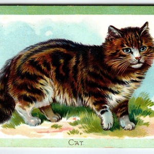 Carte postale fantastique en relief pour chatons bruns, série Tuck n°4
