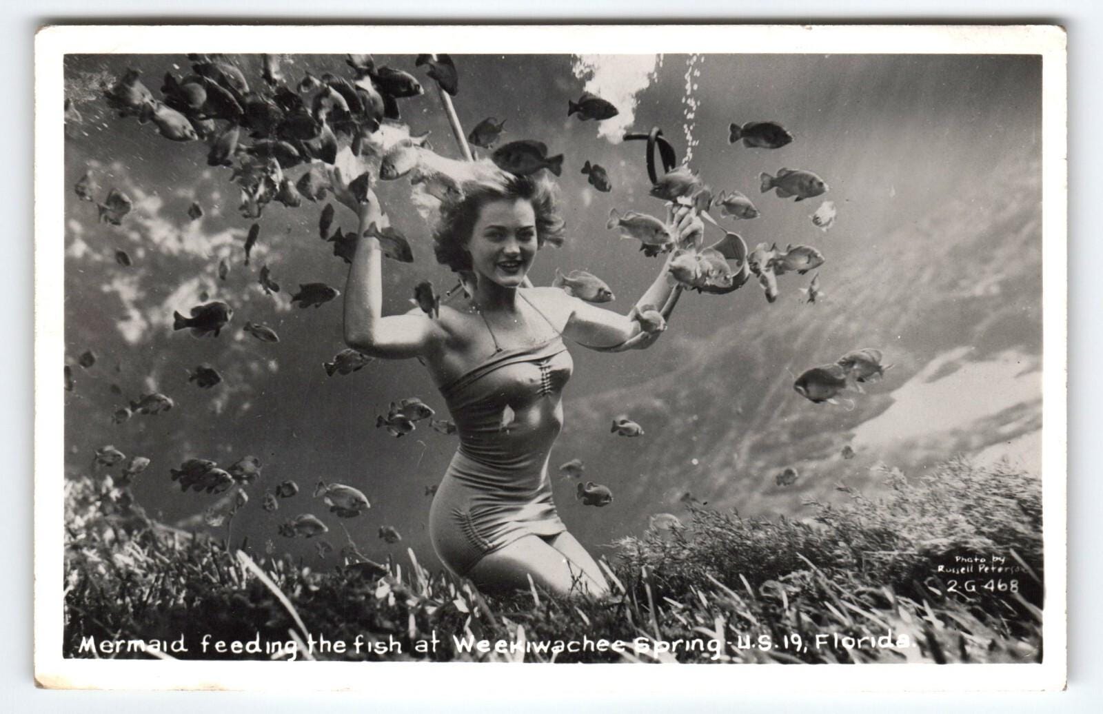 Vintage Photos Weeki Wachee Florida - Etsy