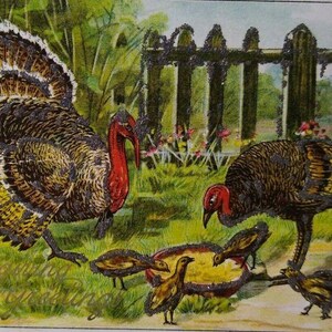 Thanksgiving Postcard Glitter Mica Wild Turkeys Julius Bien 1908 Series 9101 Unique Gift