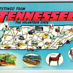 Carte postale Salutations du Tennessee Carte Chrome État bénévole marchant cheval Iris
