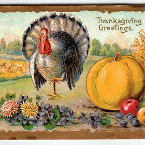 Vintage Thanksgiving Turkey & Pumpkin Lithograph Postcard 1914