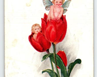 Vintage 1900s Happy Birthday Postcard Cherubs in Tulips -Westtown NY - Embossed