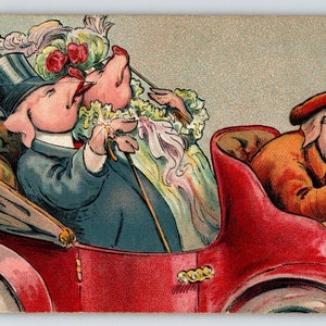 Carte postale Cochons habillés, marié, femme, mariée, conducteur, voiture, fantastique, anthropomorphe, cadeau unique, carte postale