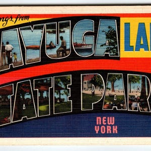 Salutations du parc d'État de Cayuga Lake, New York, grande carte postale en lin grande lettre, cadeau unique