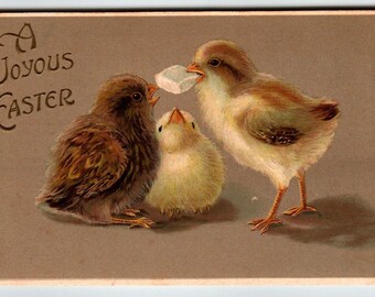 Easter Postcard Baby Chicks Eating Sugar Cube Embossed 1911 Germany Vintage Unique Gift