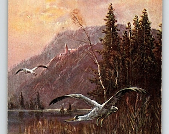 Postcard Wildlife Bird Herons Lake Mountains Artist Signed Muller Germany HK & M Unique Gift