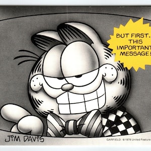 Garfield Katze Postkarte Fernseher Fliege Jim Denimys Orange Tabby 1978 Cartoon Einzigartiges Geschenk