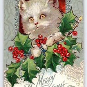 Vintage Antique 1914 Christmas Cat Postcard Holly Berries Embossed