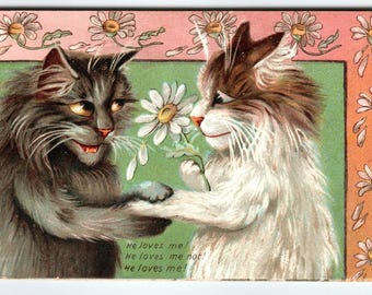 Humorous Fluffy Cats Tuck Series 122 M. Boulanger Romantic Lovers Kittens 1908