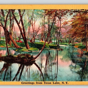 Carte postale du lac des cygnes New York en lin des années 1950, cadeau unique du parc des arbres réfléchissants