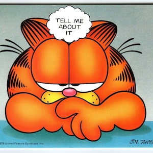 Garfield 'Tell Me Over It Postkarte Signierte Jim Deliuss Comic Cat 1978 Continental Geschenk