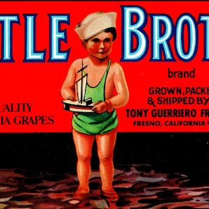 Little Brother Boy Sailboat Fresno California Grapes Crate Label Original 1960&#39;s Unique Gift