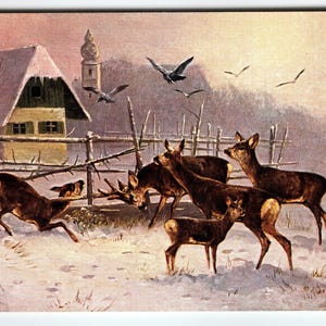 Signed Muller Vintage Artist Postcard Winter Deer Scene Printed in Germany