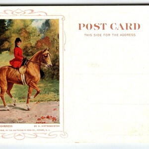 Frauen zu Pferd Werbepostkarte Cosmopolitan Relief Camden NJ 1909