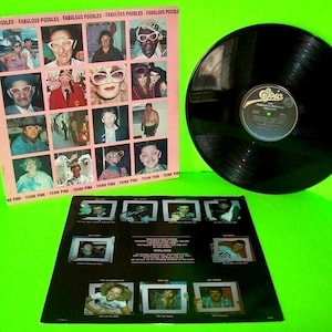 Fabulous Poodles Think Pink 1979 Vinyl LP Record Album Power Pop New Wave Music Unique Gift