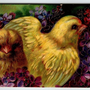 イースターのポストカード カラフルなひよこ 紫のエンボス加工の花 ゲル ドイツ 1911