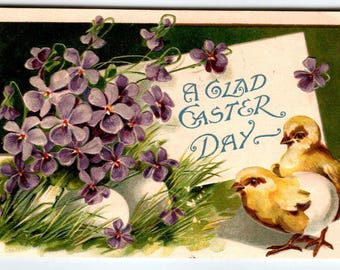 Osterpostkarte Lila Geprägte Blume Baby Küken Hatch Aus Ei Deutschland 1909