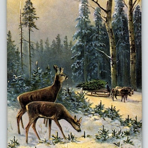 Postcard Deer Man Hauls Christmas Tree Cattle Sled Signed Muller Germany KB 1329 Unique Gift
