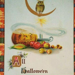 ハロウィーンポストカード ウィンシュバック 三日月の上に座るフクロウ 2399 ゴットシャルク 1911 ユニークなギフト