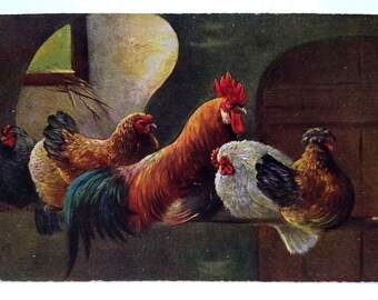 Chickens In Rustic Barn Roosters Postcard 1908 Signed Muller Germany Series 216 Unique Gift