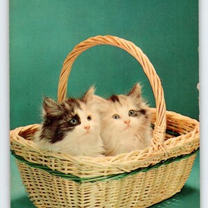 Carte postale chatons chats dans un panier Chrome 1965 voeux d'East Tawas Michigan cadeau unique