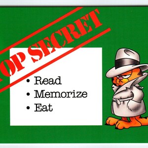 Garfield Katze Postkarte Streng geheim Jim Davidis 1978 Getigerte Cartoon Geheimagent Kitty Einzigartiges Geschenk