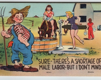 Vintage 1940s Linen Comic Postcard Farm Scene MWM Divided Back