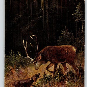 Postcard Deer & Hunting Dog In Woods Rustic Nature Signed Muller HKM 252 Germany Unique Gift