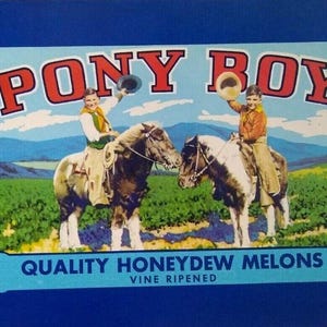 Pony Boy Honeydew Melons Children On Ponies Horses Fruit Crate Label Vintage 1950's Unique Gift