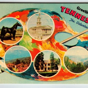 Carte postale Salutations du Tennessee Palette de peinture chromée Pinceau État bénévole Cadeau unique Carte postale