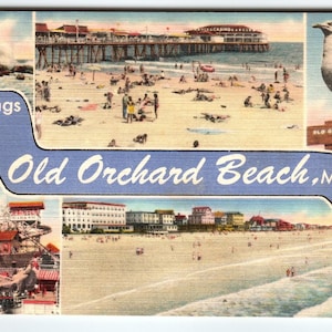 Carte postale des années 1950 Greetings From Old Orchard Maine Mouette lin de plage vintage