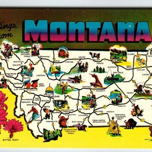 Carte postale Salutations du Montana, carte Chrome State, fleur, racine amère, cheval, cow-boy