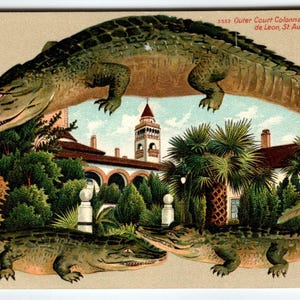 Alligator Border Postkarte St. Augustine Florida Outer Court Collonnades Hotel