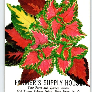 Farmers Versorgung House Coleus Blumensamen Paket LEER Umschlag Vintage New Bern