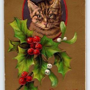Weihnachtspostkarte Kätzchen Katze Stechpalmenblätter H I Robbins Embossed 1907 Uneingelöst