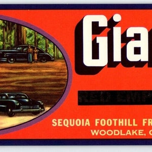 Giant Tree California Blue Anchor Fruit Crate Label Vintage 1940s Old Car Auto Unique Gift
