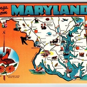 Carte postale Carte postale du Maryland, Oriole chromé, Oiseau fleur de cerisier aux yeux noirs