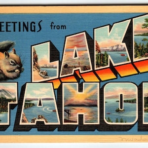 Carte postale grande lettre en lin, écureuil de Californie des années 40, salutations des années 40