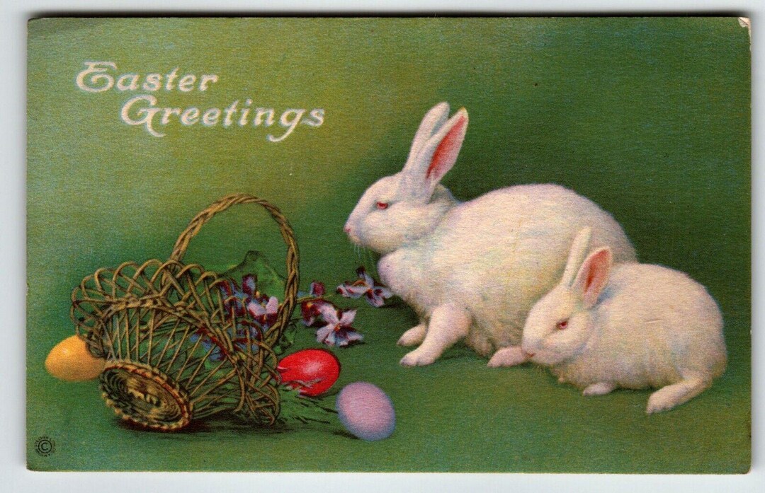 White Rabbit Postcard Easter Postcard White Bunny Rabbits Bluebells Flowers Painted Eggs ...