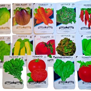 Vintage 1950's Vegetable Seed Packs EMPTY Lot 4 Egg Plant Peppers Lettuce Tomato