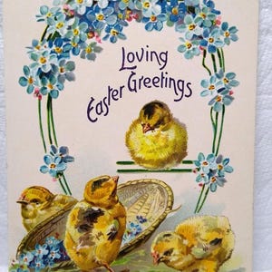 Carte postale de voeux de Pâques Tucks Baby Chicks Forget Me Nots 1908 Series 112 Cadeau unique