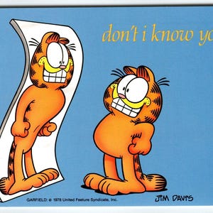 Garfield Looks Fit Trim In Spiegel Postkarte Jim Denims Vintage 1978 Katzenliebhaber Geschenk