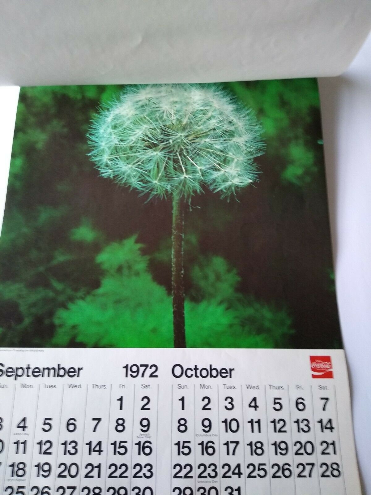 Coca-cola Wall Calendar Vintage Pop Art Flowers Mod 1972 Coke Soda  Advertising Gift for Him or Her - Etsy